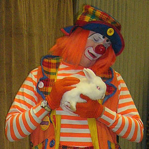 Clown Rabbit