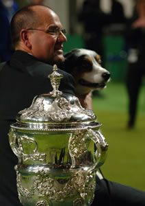 ultratron crufts trophy