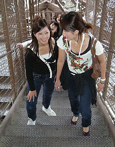 Picture Steps Eiffel Tower on Group Of Japanese Students Take A Sightseeing Trip To Paris