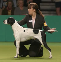 (c) The Kennel Club