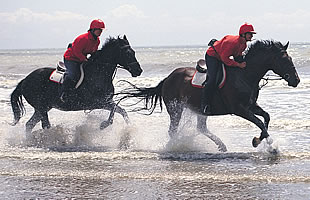 (c) Wales Tourist Board. All rights reserved