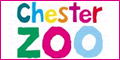 Buy tickets for Chester Zoo