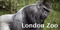 Book tickets for London Zoo