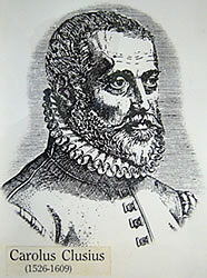 carolus clusius